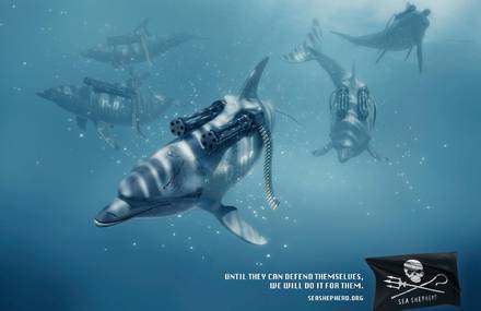 Sea Shepherd Campaign