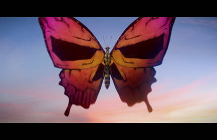 The Butterfly Effect