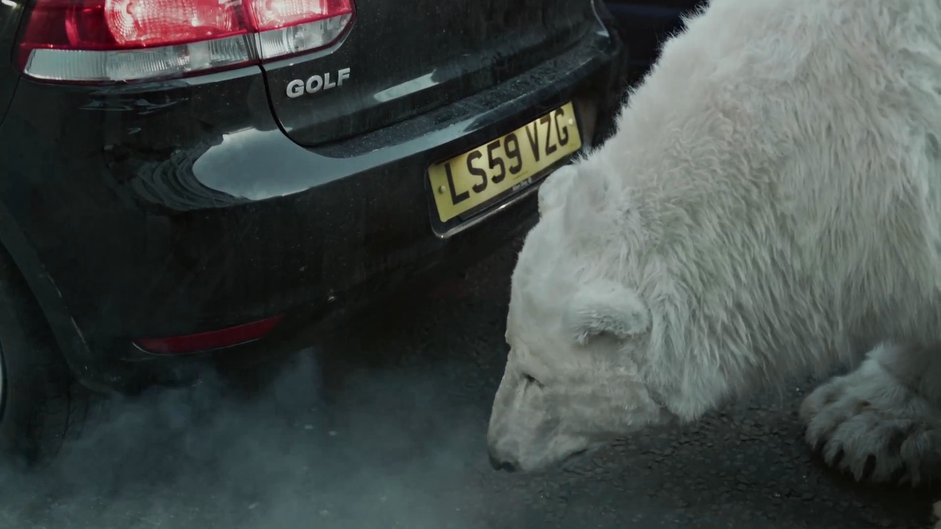 Greenpeace - Homeless Polar Bear4