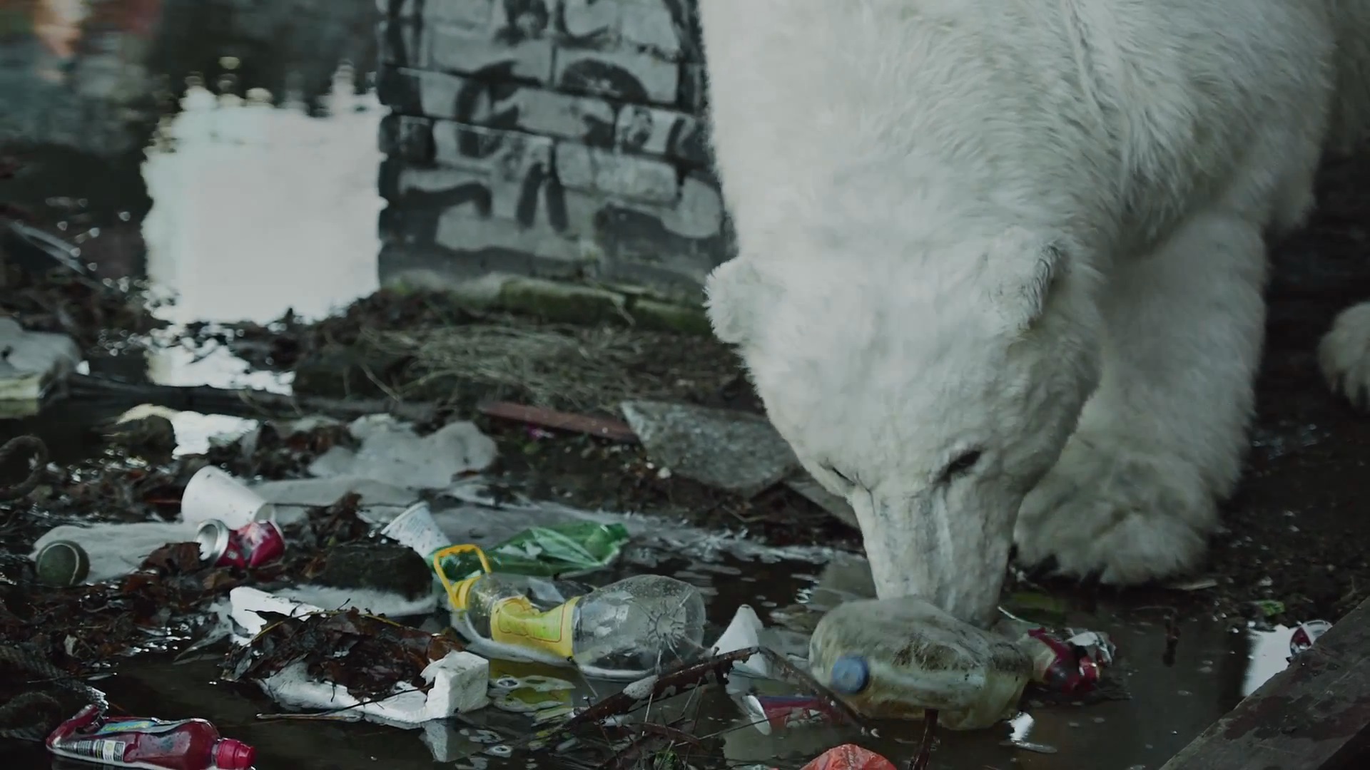 Greenpeace - Homeless Polar Bear6