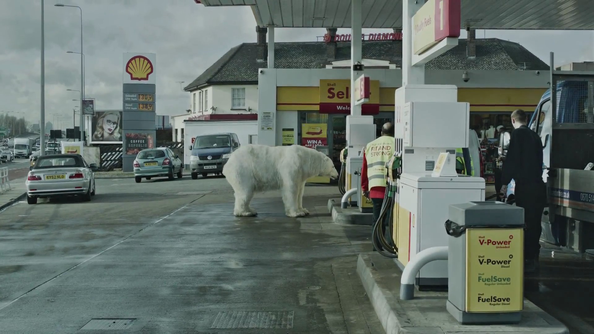 Greenpeace - Homeless Polar Bear8