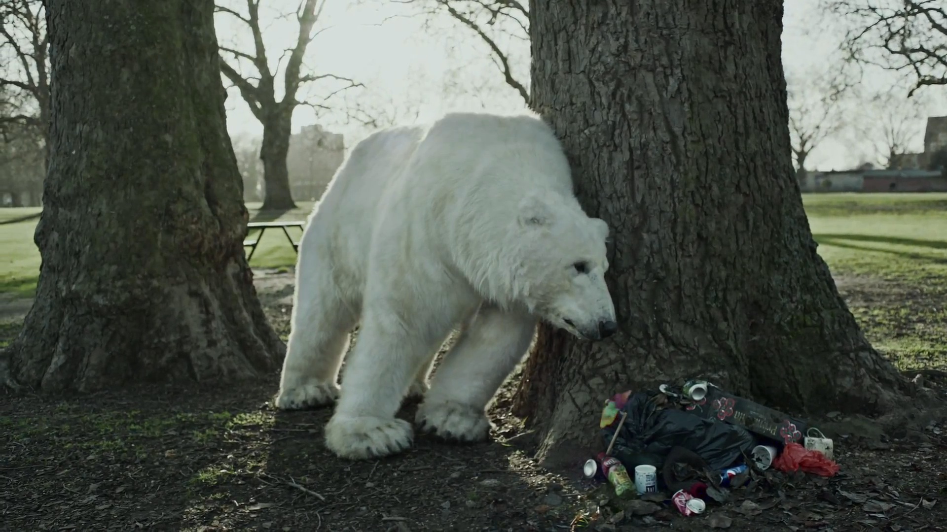 Greenpeace - Homeless Polar Bear9