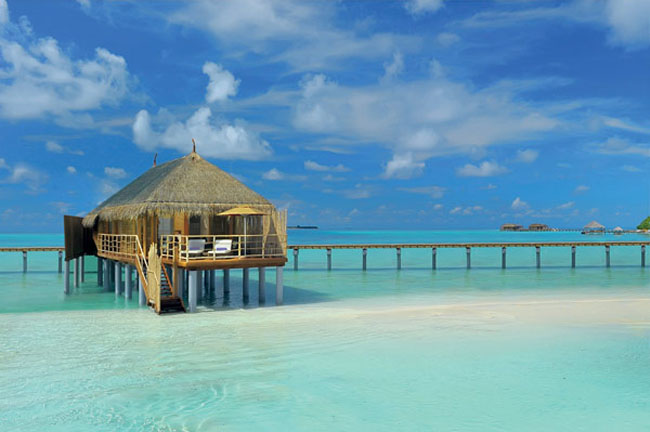 Idyllic Hotel Maldives11