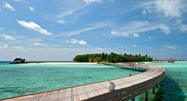 Idyllic Hotel Maldives2