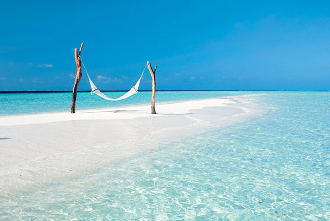 Idyllic Hotel Maldives3