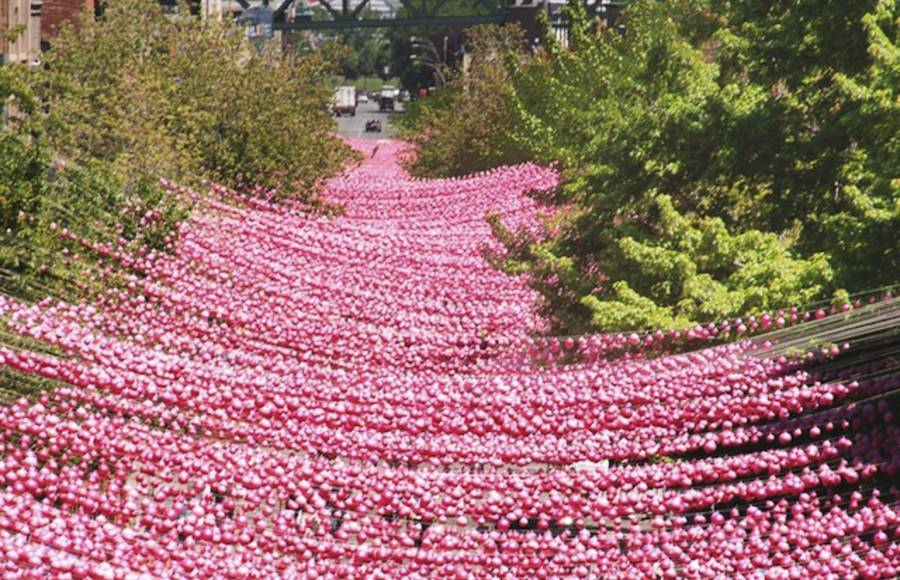 Pink Ball Installation