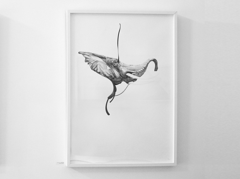 ShopVon2012_HelloVon_Elephant01_01_29_800