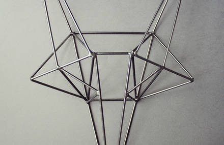 Steel Fox | Wild Head by Bongo Design