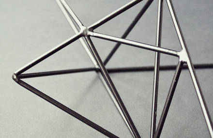 Steel Fox | Wild Head by Bongo Design