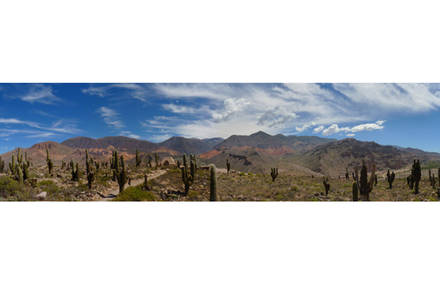 PANORAMIC NORTH