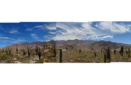 PANORAMIC NORTH