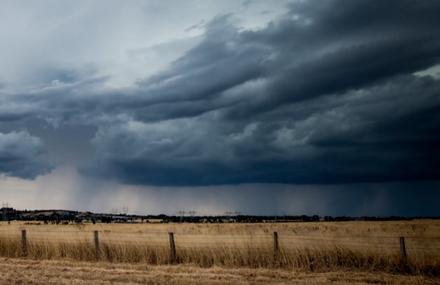 Chasing the Storm