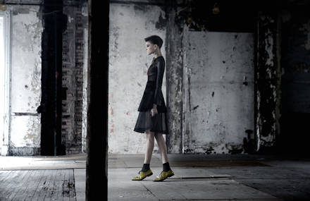 David Bismuth Photography