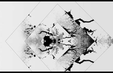chromatics art video, « back from the grave » 2012