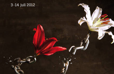 Julidans 2012