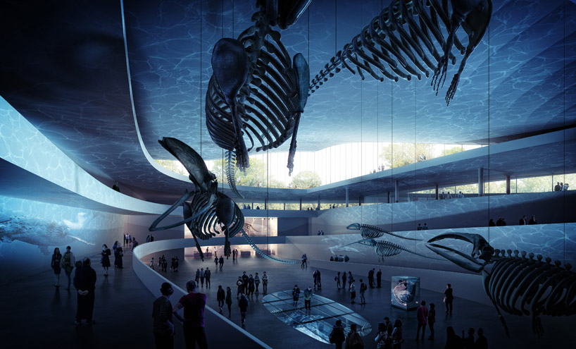 natural history museum in copenhagen10