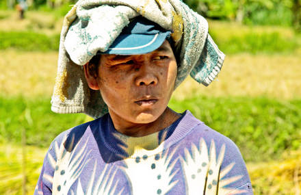 BALI : Center of the Universe