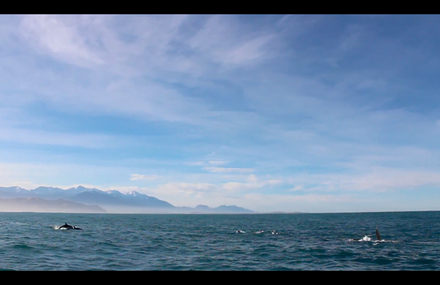Long Way Round New Zealand