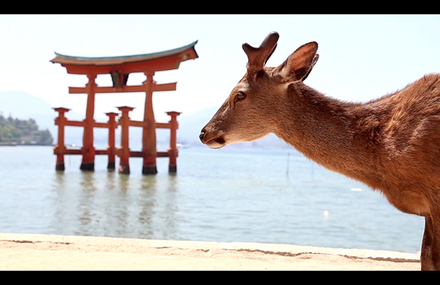 Long Way Round Japan