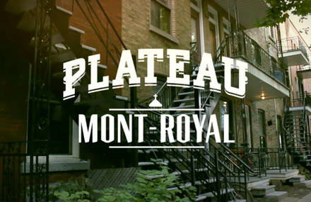 Visite des quartiers de Montréal