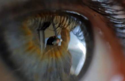 I that look at you, you who watches me