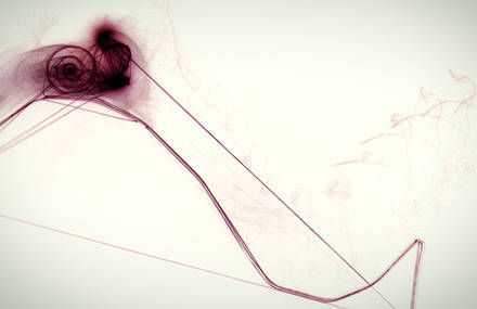 Snail Trail