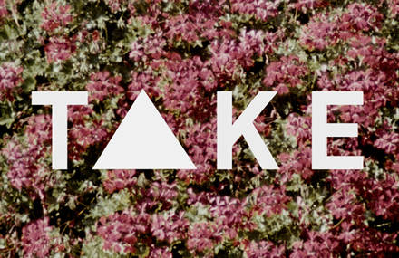Take Me Home – Level Up