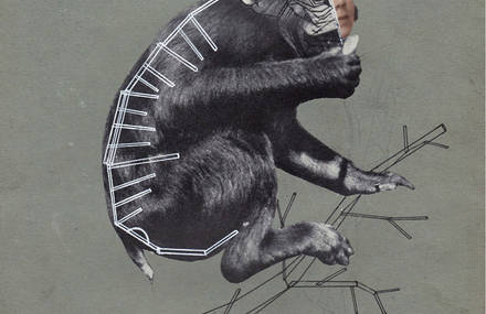 Eva Kotátková – Unlearning instincts