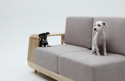 Dog House Sofa