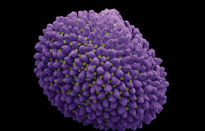 Microscopic Nature