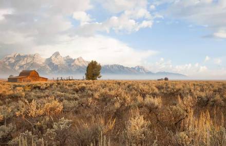 Wyoming Wildscapes