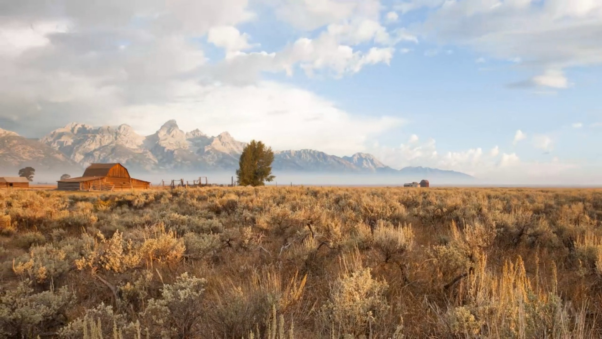 Wyoming Wildscapes