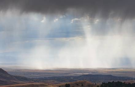 Wyoming Wildscapes