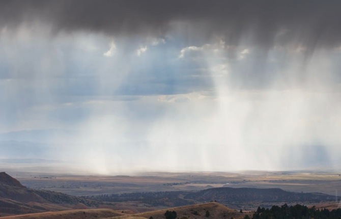 Wyoming Wildscapes