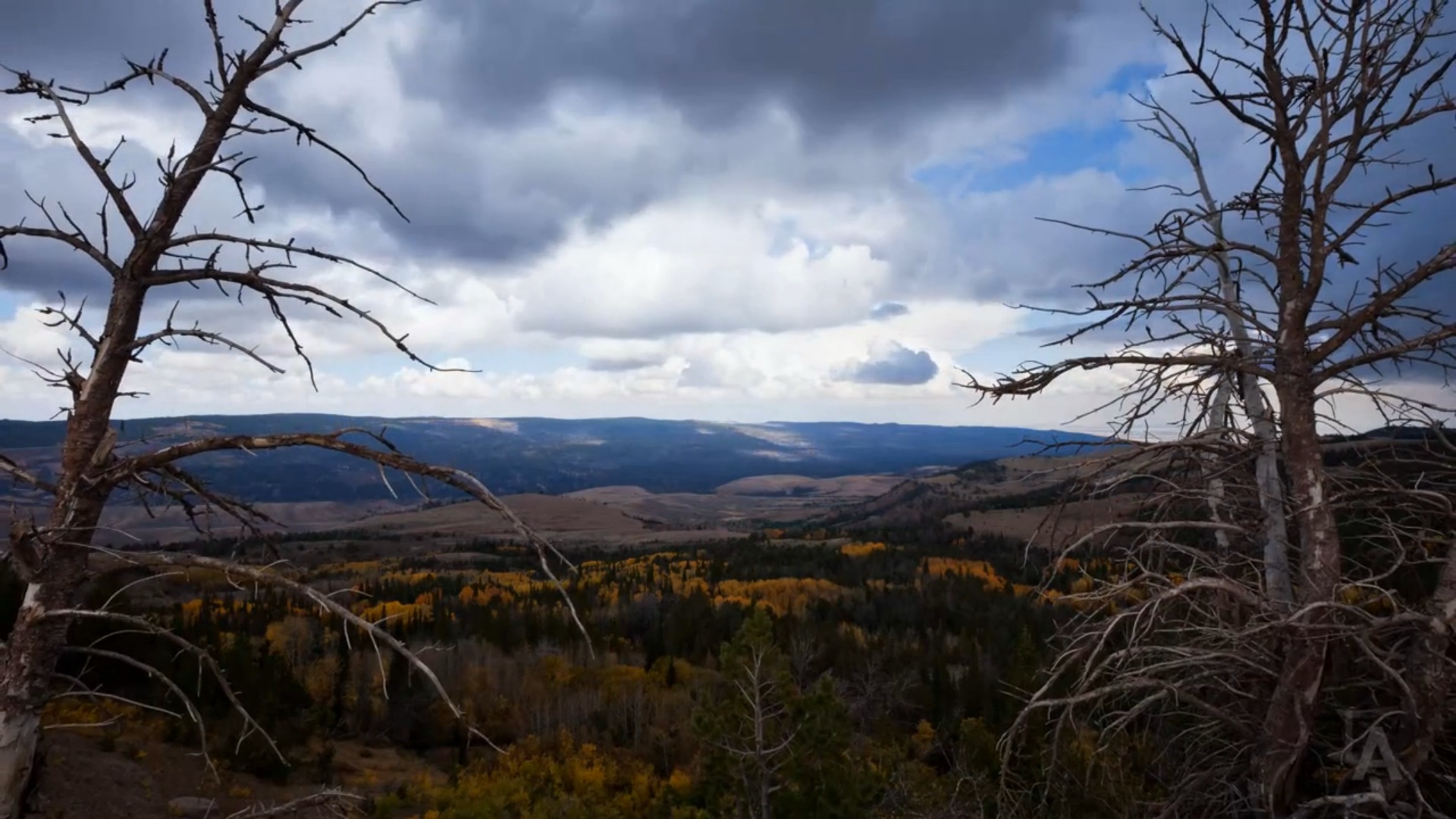 Wyoming Wildscapes4