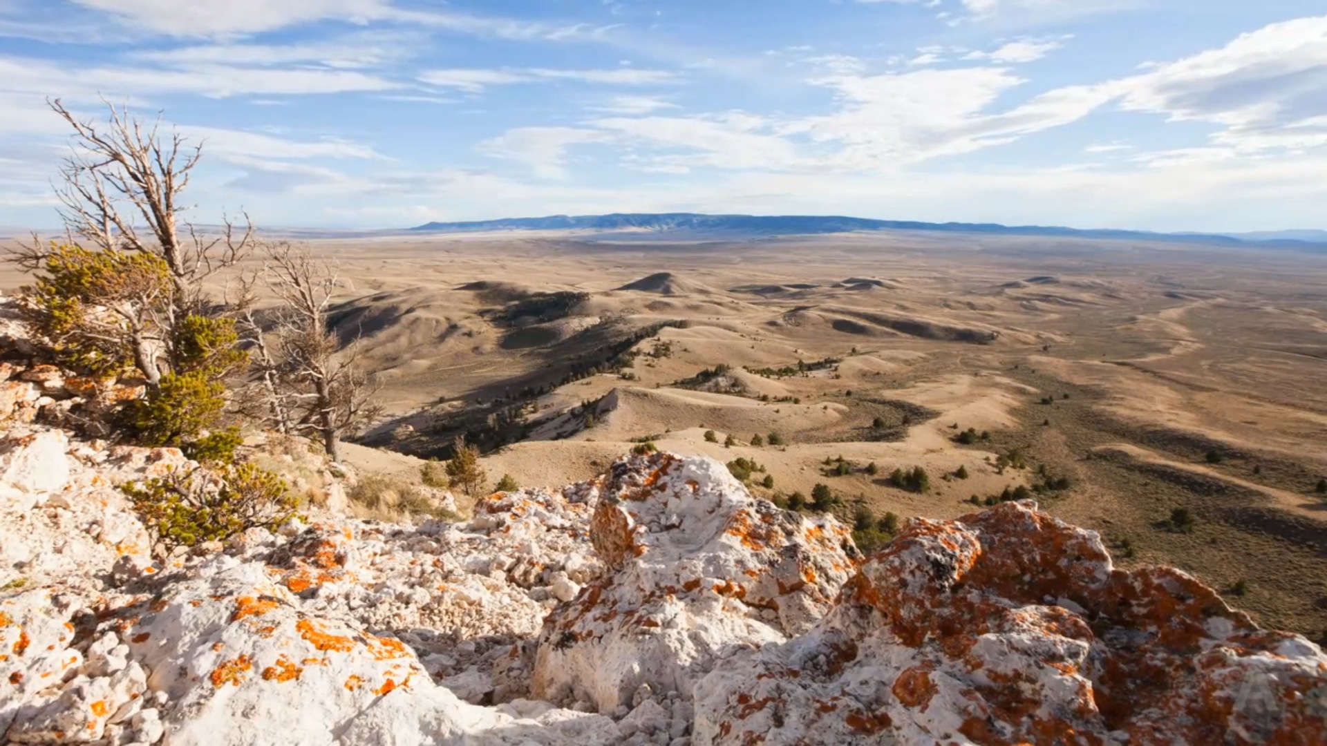 Wyoming Wildscapes5