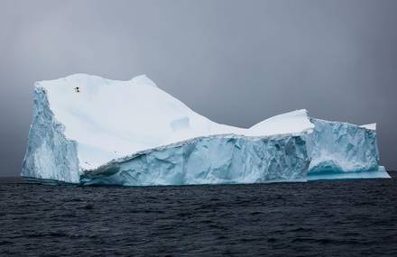 VIDEO: Mission Antarctic avec Xavier de Le Rue