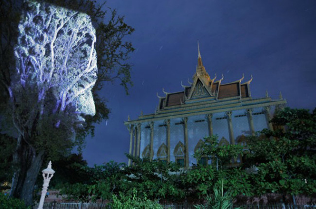 Cambodian Trees1