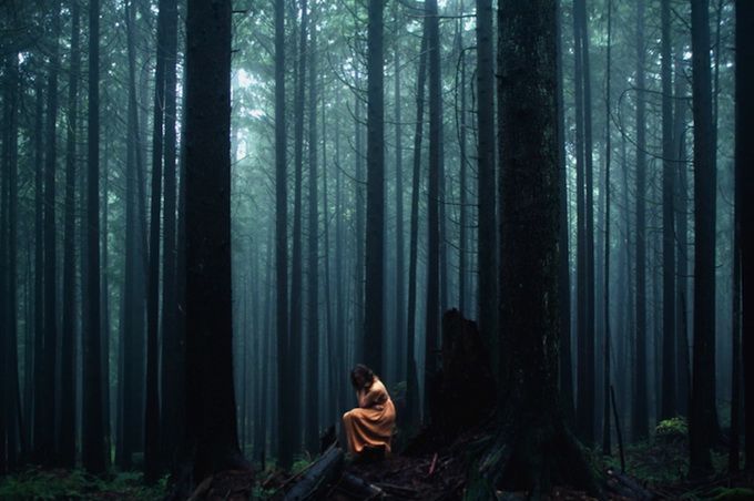 Elizabeth Gadd Photography