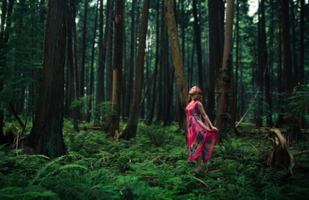 Elizabeth Gadd Photography