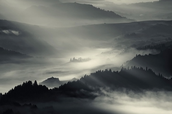 Fog Landscapes2