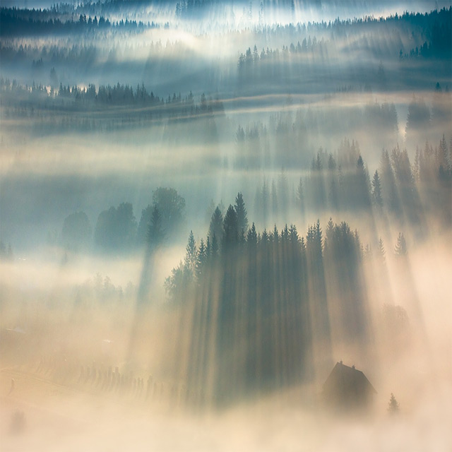 Fog Landscapes – Fubiz Media