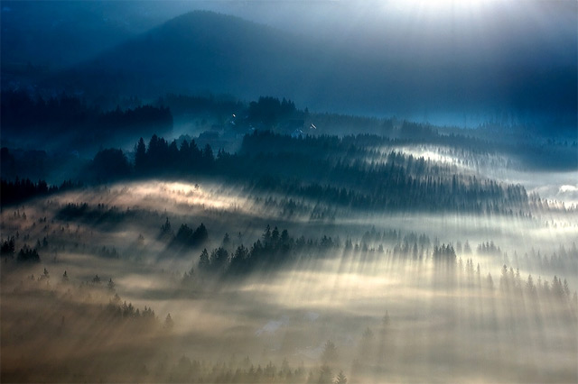 Fog Landscapes5