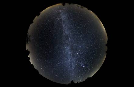 Leonid and Zodiacal Light