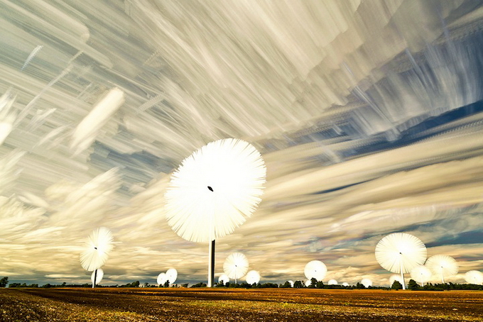 Matt Molloy11