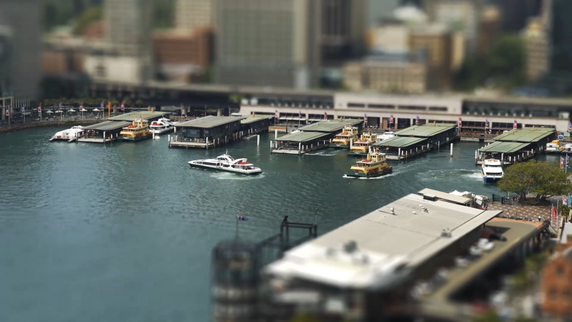 Sydney Tilt Shift2