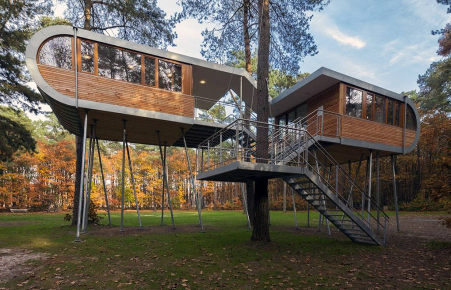 Tree House Architecture