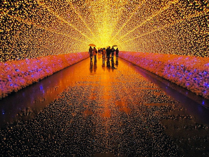 Winter Light Installation16