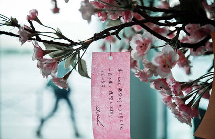 Exposition de photo de presse « 2 ans après » le tsunami. Maison de la Culture du Japon à Paris  du 26 février au 9 mars 2013