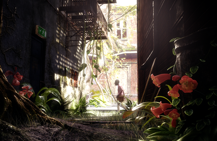 Solus